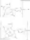 Fig. 88 - CONJUGATE COMPRISING LIGAND, SPACER, PEPTIDE LINKER, AND BIOMOLECULE