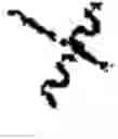 Fig. 05 - NECTIN-4 ANTIBODY CONJUGATES AND USES THEREOF