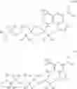 Fig. 159 - NECTIN-4 ANTIBODY CONJUGATES AND USES THEREOF