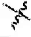 Fig. 16 - NECTIN-4 ANTIBODY CONJUGATES AND USES THEREOF
