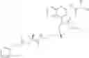 Fig. 170 - NECTIN-4 ANTIBODY CONJUGATES AND USES THEREOF