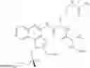 Fig. 172 - NECTIN-4 ANTIBODY CONJUGATES AND USES THEREOF