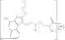 Fig. 187 - NECTIN-4 ANTIBODY CONJUGATES AND USES THEREOF