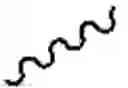 Fig. 230 - NECTIN-4 ANTIBODY CONJUGATES AND USES THEREOF