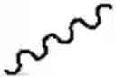 Fig. 245 - NECTIN-4 ANTIBODY CONJUGATES AND USES THEREOF