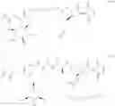 Fig. 262 - NECTIN-4 ANTIBODY CONJUGATES AND USES THEREOF