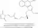 Fig. 294 - NECTIN-4 ANTIBODY CONJUGATES AND USES THEREOF
