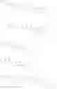 Fig. 39 - NECTIN-4 ANTIBODY CONJUGATES AND USES THEREOF