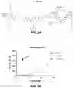 Fig. 11 - Antibody-sting agonist conjugates and their use in immunotherapy