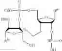 Fig. 110 - Antibody-sting agonist conjugates and their use in immunotherapy