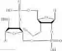 Fig. 112 - Antibody-sting agonist conjugates and their use in immunotherapy