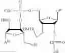 Fig. 122 - Antibody-sting agonist conjugates and their use in immunotherapy