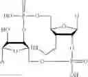 Fig. 126 - Antibody-sting agonist conjugates and their use in immunotherapy