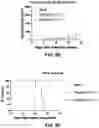 Fig. 13 - Antibody-sting agonist conjugates and their use in immunotherapy