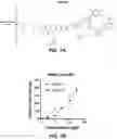 Fig. 14 - Antibody-sting agonist conjugates and their use in immunotherapy