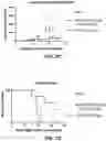 Fig. 15 - Antibody-sting agonist conjugates and their use in immunotherapy