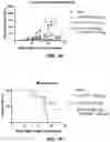 Fig. 16 - Antibody-sting agonist conjugates and their use in immunotherapy