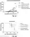 Fig. 18 - Antibody-sting agonist conjugates and their use in immunotherapy