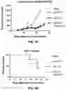 Fig. 20 - Antibody-sting agonist conjugates and their use in immunotherapy