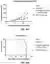 Fig. 22 - Antibody-sting agonist conjugates and their use in immunotherapy