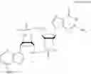 Fig. 33 - Antibody-sting agonist conjugates and their use in immunotherapy