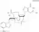 Fig. 34 - Antibody-sting agonist conjugates and their use in immunotherapy