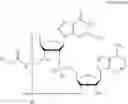 Fig. 62 - Antibody-sting agonist conjugates and their use in immunotherapy