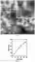 Fig. 03 - Sol-Gel Vaults and Methods of Making and Using Thereof