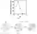 Fig. 04 - Sol-Gel Vaults and Methods of Making and Using Thereof