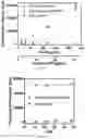 Fig. 05 - Sol-Gel Vaults and Methods of Making and Using Thereof