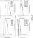Fig. 04 - METHODS FOR PREVENTING AND TREATING INFLAMMATION AND INFLAMMATORY DISEASE