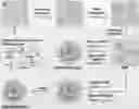 Fig. 01 - UNIVERSAL MULTI-FUNCTIONAL GSH-RESPONSIVE SILICA NANOPARTICLES FOR DELIVERY OF BIOMOLECULES INTO CELLS