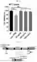Fig. 12 - UNIVERSAL MULTI-FUNCTIONAL GSH-RESPONSIVE SILICA NANOPARTICLES FOR DELIVERY OF BIOMOLECULES INTO CELLS
