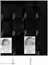 Fig. 25 - UNIVERSAL MULTI-FUNCTIONAL GSH-RESPONSIVE SILICA NANOPARTICLES FOR DELIVERY OF BIOMOLECULES INTO CELLS