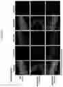 Fig. 28 - UNIVERSAL MULTI-FUNCTIONAL GSH-RESPONSIVE SILICA NANOPARTICLES FOR DELIVERY OF BIOMOLECULES INTO CELLS