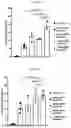 Fig. 29 - UNIVERSAL MULTI-FUNCTIONAL GSH-RESPONSIVE SILICA NANOPARTICLES FOR DELIVERY OF BIOMOLECULES INTO CELLS