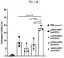 Fig. 30 - UNIVERSAL MULTI-FUNCTIONAL GSH-RESPONSIVE SILICA NANOPARTICLES FOR DELIVERY OF BIOMOLECULES INTO CELLS