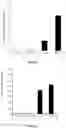 Fig. 02 - CAPPED AND UNCAPPED RNA MOLECULES AND BLOCK COPOLYMERS FOR INTRACELLULAR DELIVERY OF RNA