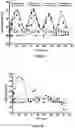 Fig. 06 - CAPPED AND UNCAPPED RNA MOLECULES AND BLOCK COPOLYMERS FOR INTRACELLULAR DELIVERY OF RNA