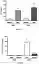 Fig. 07 - CAPPED AND UNCAPPED RNA MOLECULES AND BLOCK COPOLYMERS FOR INTRACELLULAR DELIVERY OF RNA