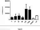 Fig. 11 - CAPPED AND UNCAPPED RNA MOLECULES AND BLOCK COPOLYMERS FOR INTRACELLULAR DELIVERY OF RNA