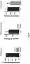 Fig. 05 - Compositions and Methods for the Treatment of Genetic Diseases