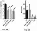 Fig. 08 - Compositions and Methods for the Treatment of Genetic Diseases