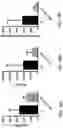 Fig. 17 - Compositions and Methods for the Treatment of Genetic Diseases