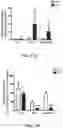 Fig. 18 - Compositions and Methods for the Treatment of Genetic Diseases