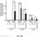 Fig. 23 - Compositions and Methods for the Treatment of Genetic Diseases