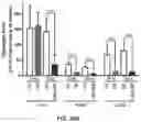 Fig. 24 - Compositions and Methods for the Treatment of Genetic Diseases