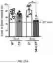 Fig. 28 - Compositions and Methods for the Treatment of Genetic Diseases