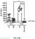 Fig. 29 - Compositions and Methods for the Treatment of Genetic Diseases