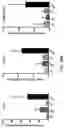Fig. 40 - Compositions and Methods for the Treatment of Genetic Diseases